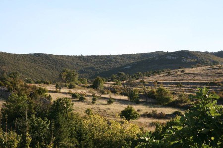 Vue des alentours depuis le jardin